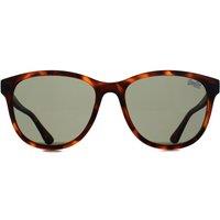 Superdry Women's Square Matte Tortoise Green SDS-LIZZIE in Brown