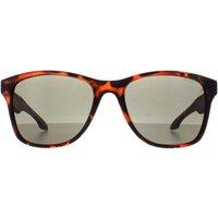 O'Neill Men's Square Matte Tortoise Grey Shore in Brown