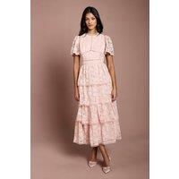 Coast Women's Petite Tiered Lace Dress With Flutter Sleeve & Trims in Blush | Size: 8