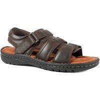 Pavers Men's Leather Buckle Fastening Sandals in Dark Brown | Size: 12