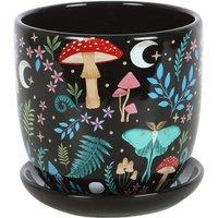KDMD Dark Forest Print Ceramic Plant Pot with Saucer in Black
