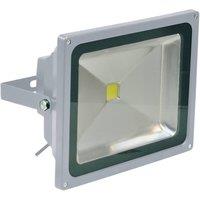 Eagle 50W Led Flood Light Grey