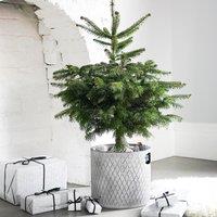 Ivyline Indoor Zinc Planter H28Cm W28Cm Dimensions: H28cm W28cm in Grey