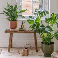 Ivyline Indoor Austin Dual Green Metal Plant Pots Set of 2 *extra large*