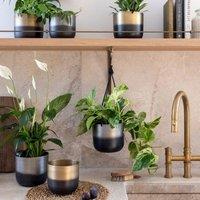 Ivyline Oscar Two Tone Gold Metal Planter Set of 2