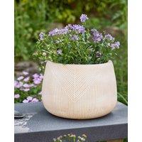 Dibor Small Beige Symmetry Stripe Beige Fibre Clay Indoor Outdoor Garden Planter Houseplant Flower Plant Pot H20 x Dia29cm
