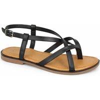 Savannah Women's Multi Strap Toe Post Sandal with Buckle Fastening in Jet Black | Size: 4