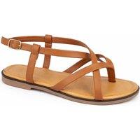 Savannah Women's Multi Strap Toe Post Sandal with Buckle Fastening in Tan | Size: 4