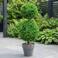 Garden Greatness Haven Duo Ball Topiary Tree