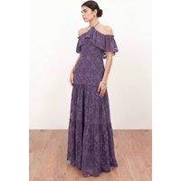 Anaya with Love Women's Floral Burnout Cold Shoulder Halter Neck Maxi Dress in Purple | Size: 6