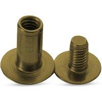 Neel Blue Chicago Screw Rivet Flat Head, Anti-Resistant Durable - 9x20mm, 10pcs in Bronze