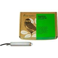 Green Feathers LED daytime light for nest boxes with inline 12v - PSU not included in White