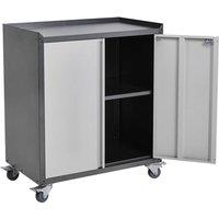 Nordara 2-Door Lockable Metal Cabinet, Mobile Storage for Office & Garage, UK in Grey