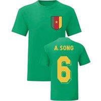Cameroon Men's Mens Alex Song Cameroom National Hero Tee in Green | Size: Large