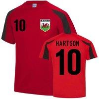Wales Men's Mens John Hartson Sports Training Jersey | Size: 2XL