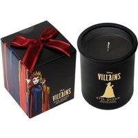 Disney Villains Evil Queen Inspired Candle - Apple & Black Iris 252G (1-Wick) | Size: Medium