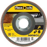 Flexovit Flap Disc