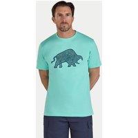 Raging Bull Men's High Build Geo Bull T-Shirt in Mint | Size: Small