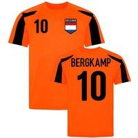 Netherlands Men's Mens Holland Sports Training Jersey - Bergkamp 10 in Orange | Size: Medium