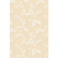 Hoopla Walls Elderflower Trail - Barley 10m Wallpaper in Cream