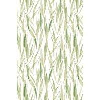 Hoopla Walls Eucalyptus Whisper - Sage & Thyme 10m Wallpaper in Green