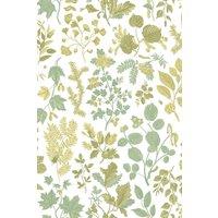 Hoopla Walls Botanical Leaves - Olive Mix 10m Wallpaper in Green
