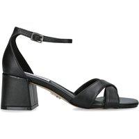 STEVE MADDEN Women's 'Fergie Black' Leather Sandals in Black | Size: 7