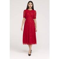Finery London Women's Mela Lace Midi Dress in Red | Size: 20