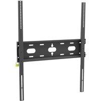 Iiyama Webcams
