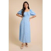 Dorothy Perkins Women's Petite Floral Ruched Scoop Neck Midi Dress in Blue | Size: 12