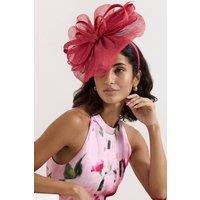 Phase Eight Women's Bow Headband Freeform Fascinator in Fuchsia