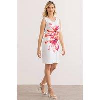 Klass. Women's Floral Print Sleeveless Shift Dress in Ivory | Size: 14