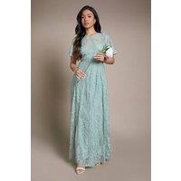 Oasis Women's Petite Angel Sleeve Lace Bridesmaid Dress in Sage | Size: 12