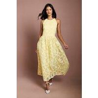 Coast Women's Petite Halterneck Lace Midi Dress in Butter | Size: 6