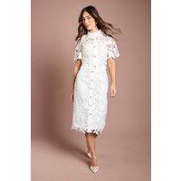 Coast Women's Lace Pearl Button Pencil Skirt in Ivory | Size: 12