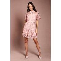Coast Women's Lace Shirt Mini Belted Dress in Blush | Size: 10