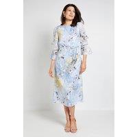 Wallis Women's Floral Burn Out Ruffle Midi Dress in Blue | Size: 10