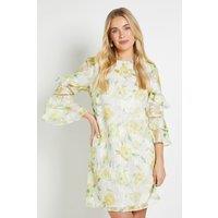 Wallis Women's Petite Floral Burn Out Ruffle Shift Dress in Ivory | Size: 16