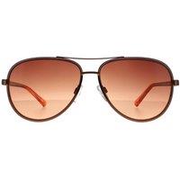 Ted Baker Women's Aviator Copper Brown Brown Gradient TB1644 Sunnia Sunglasses