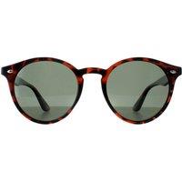 montana Women's Round Turtle G15 Polarized MP20 in Brown