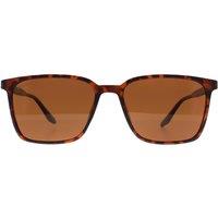 montana Men's Square Turtle Brown Polarized MP186