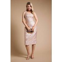 Dorothy Perkins Women's DP Luxe Bow Shoulder Jacquard Midi Dress in Pink | Size: 14