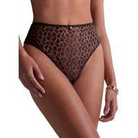 Aubade Women's Crazy In Love High Waist Brief in Brown | Size: 12