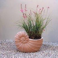 Primrose Terracotta Siena Nautilus Ammonites Shell Fossil Themed Planter 23cm | Size: 1 Pack