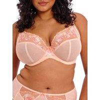 Elomi Women's Himari Side Support Plunge Bra in Pink | Size: 36DD
