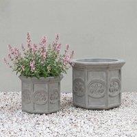 Primrose Galgano Hexagon Shaped Concrete Planter in Grey | Size: Small