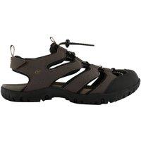 Regatta Men's Westshore IV Sandals in Chocolate | Size: 11