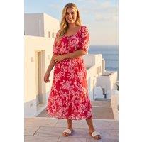 Roman Women's Curve Tropical Print Tie Neck Midi Dress in Pink | Size: 18