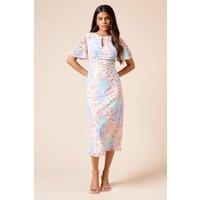 Dorothy Perkins Women's Petite Floral Angel Sleeve Keyhole Mesh Jersey Midi Dress | Size: 10
