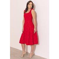 Klass. Women's Floral Jacquard Midi Dress in Scarlet | Size: 16